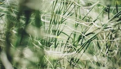 Kuidas oma kätega õnne amuletti teha