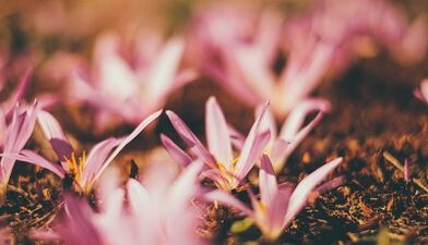 kuidas oma kätega õnne amuletti teha